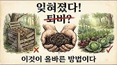 왜 나는 더 이상 퇴비를 만들지 않는가: 이 간단한 방법이 더 효과적이다