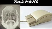 Your mouse :