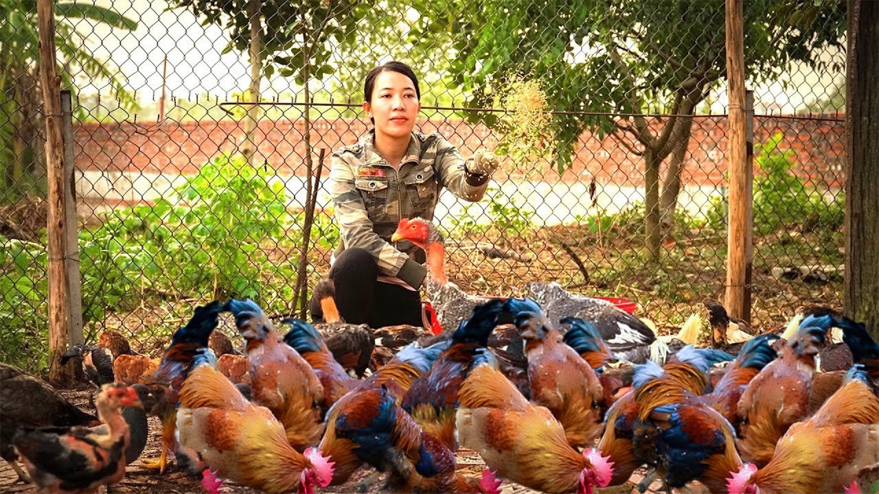 Free New Life 60 Days to Build a House and Garden - Harvest Fish Go To Market To Sell