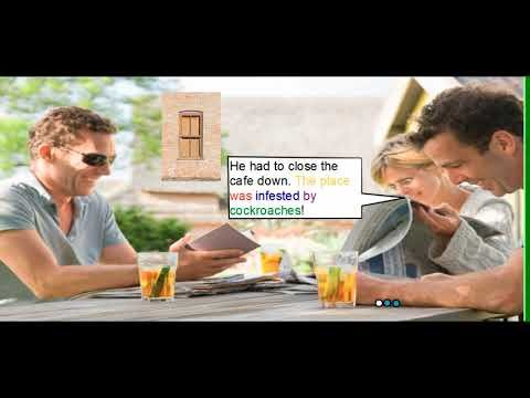 Book 2, Unit 11 Part 1 - Passive voice (simple past)