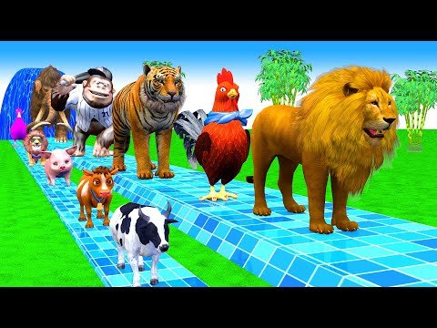 Long Slide Game With Cow Elephant Gorilla Hippopotamus Tiger 3d Animal Game Funny 3d Animals
