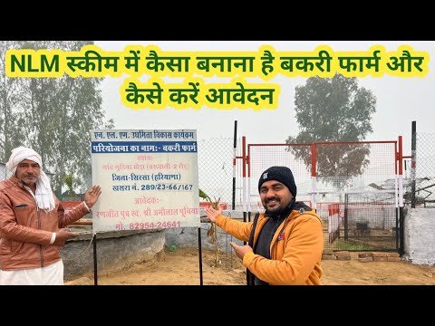 NLM स्कीम में कैसा बनाना है बकरी फार्म और ...