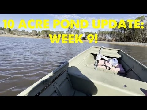 Water Level & Grass Update!! (Week 9) [10 Ac...