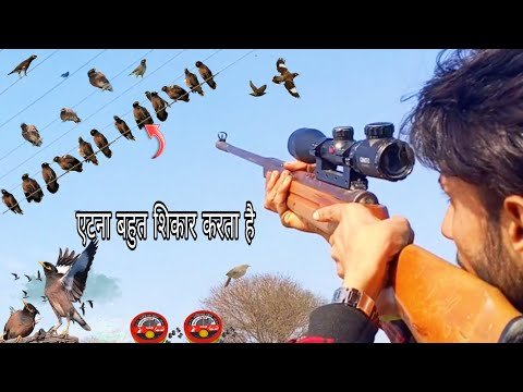 max bird hunting long range shot#viral #hunti...