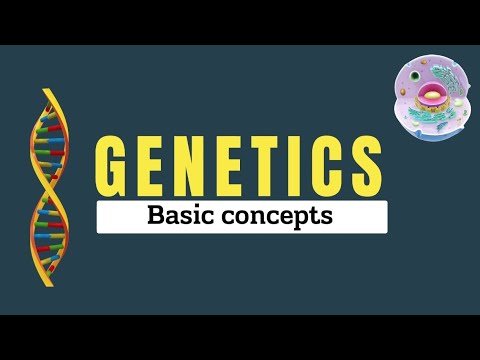 Basics concepts of Genetics | Genetics important definitions | Cell genetics