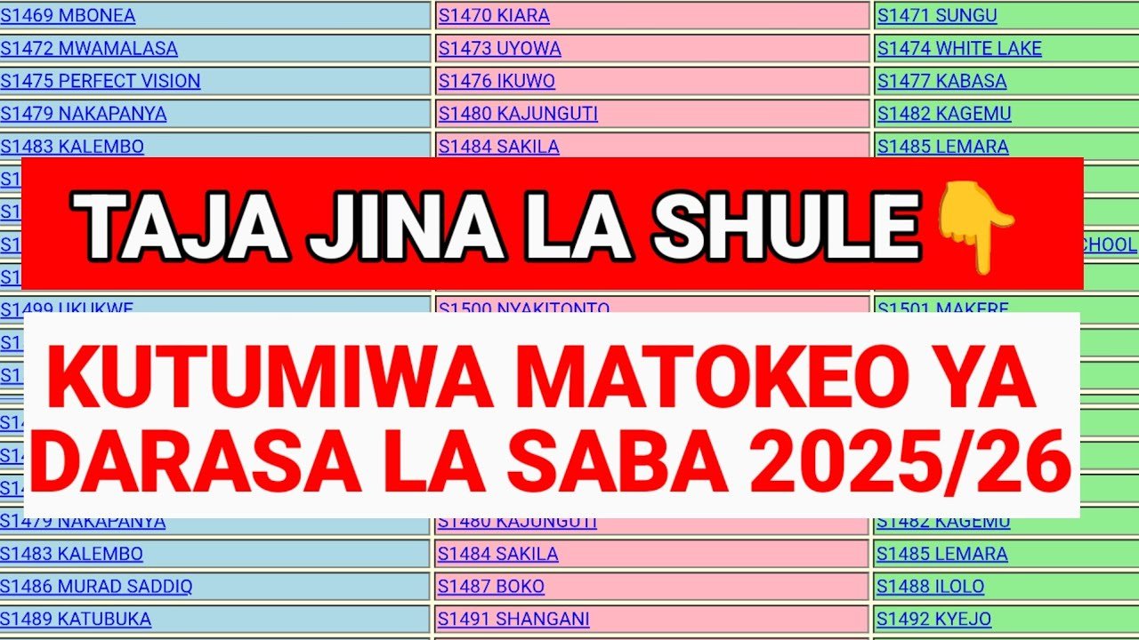 🔴Tazama hapa MATOKEO YA DARASA LA SABA ya 2025 Bofya hii link kutazama...