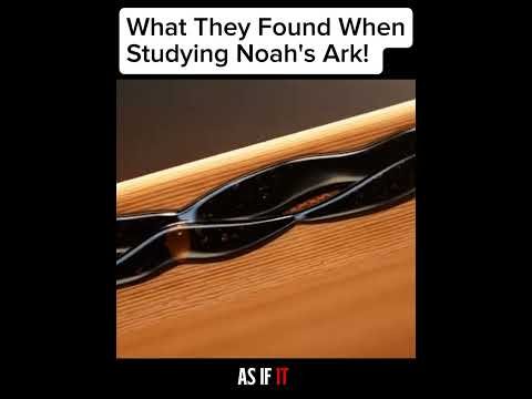 This is what they found when studying Noah's Ark! Credit: #EduTok #noahsark #genesis
